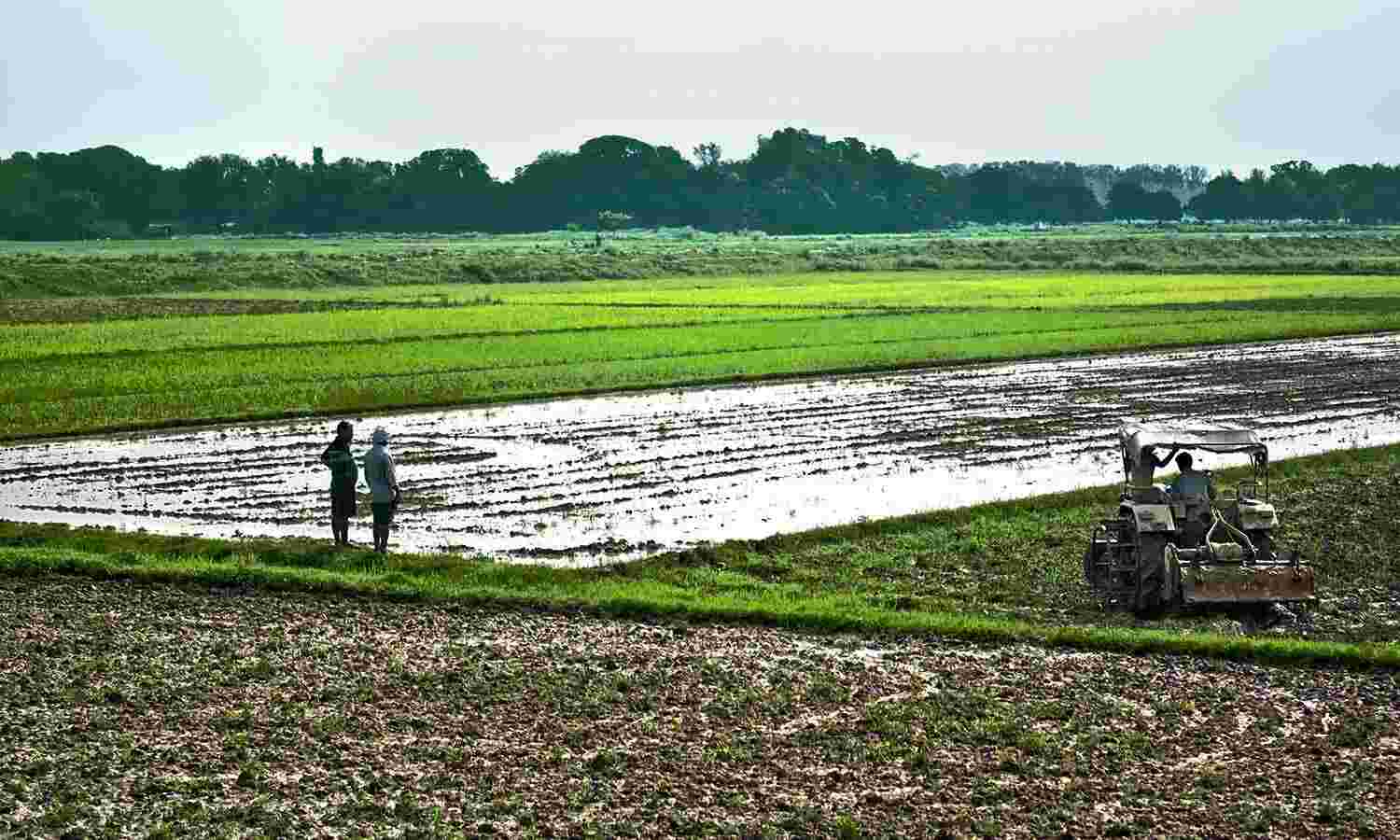 Legal Remedies for Boundary Disputes Between Agricultural Lands: A Farmer’s Guide